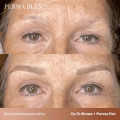 LUXE Brow + Perma Pen Training Kit — Perma Blend — 1/2oz