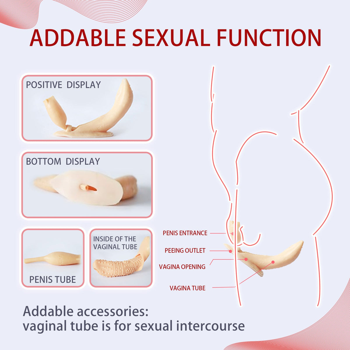 Realistic Anatomical Silicone Shaping Panty