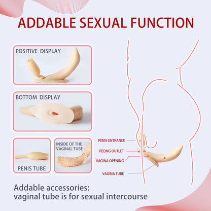 Realistic Anatomical Silicone Shaping Panty